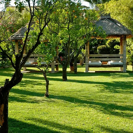 Hotel Roses 4*