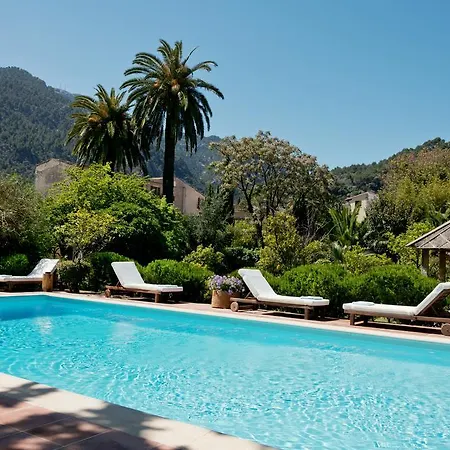 Hotel Roses 4*